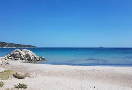 L'alizia *