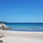 L'alizia *