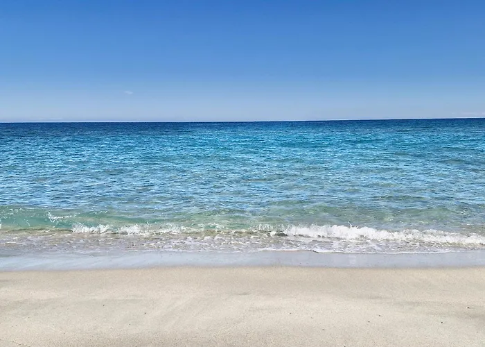 L'alizia * 萨里索伦札拉