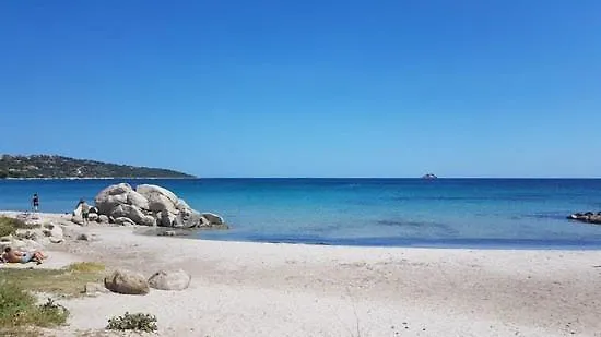 L'alizia *